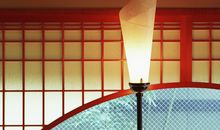 Alex金牛座一周运势（3.5-3.11）