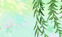 处女座恋情破产警钟