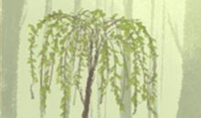 金牛座恋人如何改邪归正