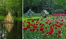 荷兰 威廉.亚特本周星座运势2012年5月14—20日