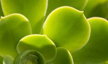 张盛舒紫微十四主星6月好运榜