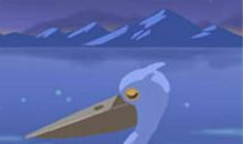 情绪特征之金牛座