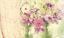 详述天魁在十二宫男女命