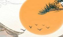 职场中处事不惊的金牛座