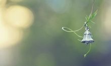 猫石对话每周运势(1.30-2.5)