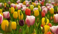 水瓶座下周运势2013年3月17日—3月23日