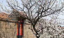 天蝎座下周运势2013年3月17日—3月23日