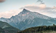 1958年属什么生肖