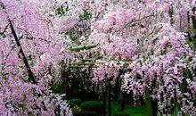 射手座下周运势2013年3月17日—3月23日