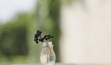 引玥:狮子座2018年5月运势