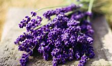 引玥:处女座2018年5月运势