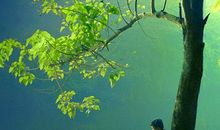 观星殿的谈笑（二）星星本义