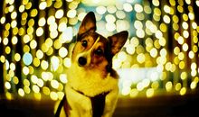 Geo老师摩羯座一周运势（3.11-3.17）