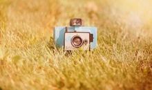 猫石对话每周运势(1.2-1.8)