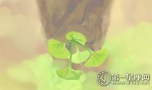 金牛座女明星名字大全