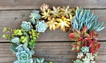 金牛座下周运势2014年2月9-15日