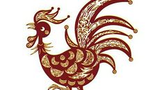 1957年属鸡的人2020年运势大全及破解