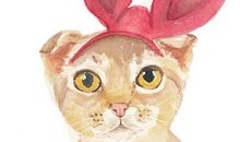 水瓶座下周运势2014年4月6日～2014年4月12日