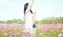 金爱伦2015年8月天秤座运势