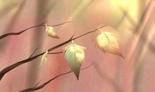 为什么叫秋老虎 饮食禁忌