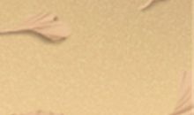 如何对付不忠的金牛座男友