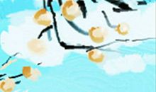 属龙处女座的性格