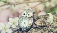 引玥:射手座2018年5月运势