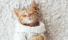 神叨酱塔牌测试5.15日运