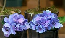 双鱼座下周运势2014年2月9-15日