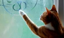 中州派四化科之文昌化科