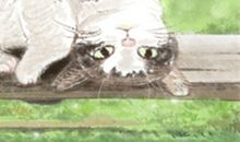 处女座的人格类型