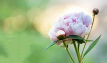 神叨酱塔牌测试5.17日运