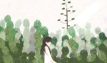 秋老虎吃什么祛除燥热 这些食物又有哪些作用