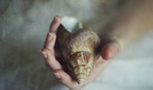 A微日记2018年2月金牛座运势