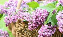 引玥:天蝎座2018年5月运势