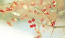 2018年命宫太阴星运势