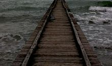 狮子座下周运势2014年2月9-15日