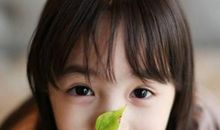 紫微星入十二宫的基本意义