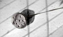 处女座男生面对女友撒娇的反应