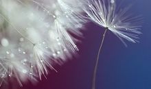 Alex水瓶座一周运势（3.5-3.11）