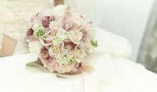 狮子座2012年如何招桃花