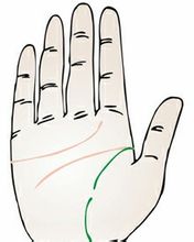 手相术算命：您如何看待手相术生命线？ 4