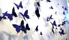 天蝎座下周运势2014年2月16日～22日