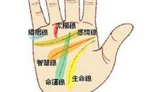 手相感情线看你爱情运好坏