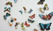 射手座下周运势2014年2月16日～22日