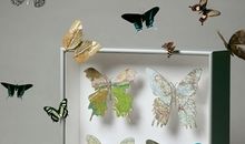 摩羯座下周运势2014年2月16日～22日