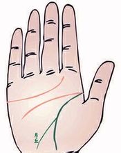 手相术算命：您如何看待手相术生命线？ 8