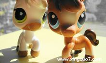 海百合一周星座运势（2012年2月16—22日）