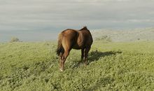 YAO叔金牛座一周运势（3.12-3.18）