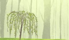 小乖麻2014年5月巨蟹座运势